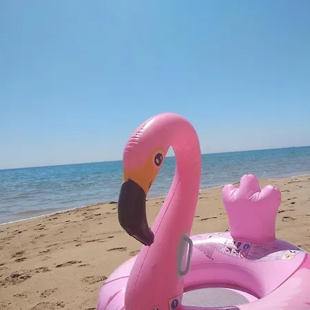 Apartmán Maltas & By Hotelius