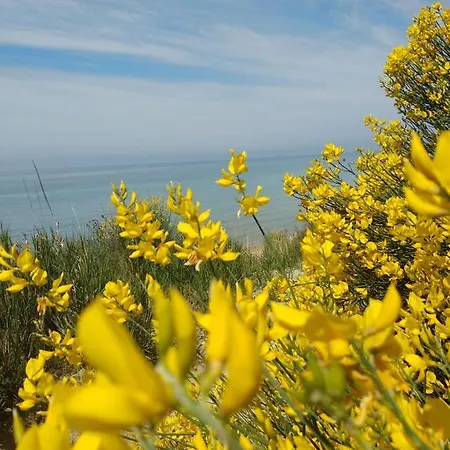 Apartmán Maltas & By Hotelius