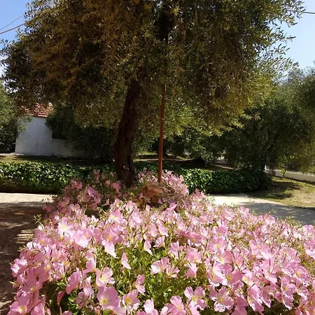 Maltas & By Hotelius